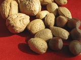 Walnuts  Hazelnuts  and Almonds Recent Studies Indicate That Eating Handful of Nuts Day