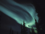 Aurora Borealis  Alaska  USA
