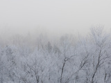 Freezing Valley Fog Reduces Visibility and Covers the Landscape in a Layer of Thin Ice