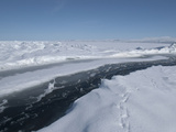 Crack in the Sea Ice About 2 Meters Wide