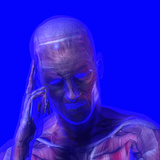 Biomedical Illustration of a Man with a Headache or Thinking Showing Muscles and Bones