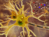 Illustration of P7C3 and Alzheimer's Disease