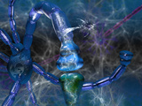 Nervous System Showing Neurons  Neurotransmitter Activity at a Synapse  Glial Cells