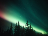 Aurora Borealis or Northern Lights  Alaska Range  Alaska  USA