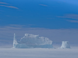 Large Icebergs Become Frozen into the Sea Ice During the Autumn and are Freed When the Ocean Melts