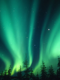 Aurora Borealis or Northern Lights  Alaska  USA