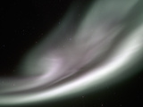 Aurora Borealis or Northern Lights  Alaska  USA
