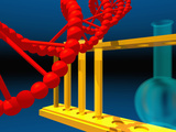 Biotechnology  Genetic  and Scientific Representations