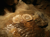 Fried Egg Formations are the Result of Man-Made Damage to the Stalagmites