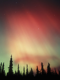Aurora Borealis  Northern Lights  Alaska Range Mountains  Alaska  USA