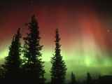 Aurora Borealis or Northern Lights  Alaska Range  Alaska  USA