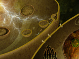 Illustration of the Mechanics of Neurotransmission the Primary Role of Snare