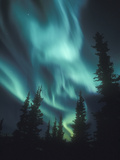 Aurora Borealis  Northern Lights  North America  Alaska  USA