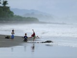 Kids Playing on the Beach While Olive Ridley Sea Turtle Come Ashore
