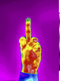 Thermogram of the Finger Gesture