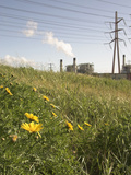 Aes Power Generating Plant in Redondo Beach