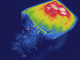 Thermogram - Hot Bag of Popcorn