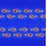 Thermogram of Footprints Walking in Opposite Directions  Digital Composite