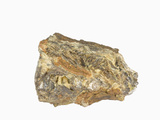 Nadorite  Algeria