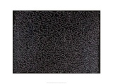 Untitled  1979