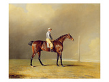 Diamond  with Dennis Fitzpatrick Up  1799 (Oil on Canvas)