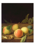 Fruit Still Life  1730 (Oil on Canvas)