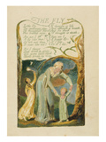 The Fly ' Plate 47 from 'songs of Experience ' 1794