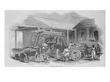 The Sugar Mill  C1835 (Litho)