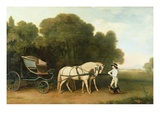 A Phaeton with a Pair of Cream Ponies in the Charge of a Stable-Lad  C1780-5 (Oil on Panel)
