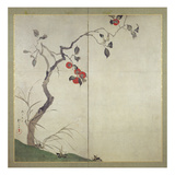 Persimmon on Tree (Ink  Colours and Gold on Paper)