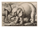 An Elephant and a Camel  Engraved by Wenceslaus Hollar (1607-77) 1663 (Etching)