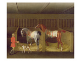 The Stables and Two Famous Running Horses Belonging to His Grace  the Duke of Bolton  1747