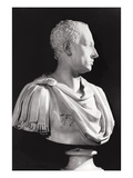 Portrait Bust of Francis I (1708-65)  Holy Roman Emperor (Marble)