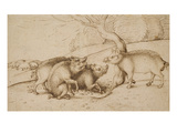 The Boar Family (Pen and Ink on White Paper)