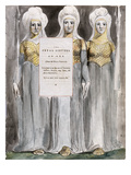 The Fatal Sisters  Design 67 from 'The Poems of Thomas Gray'  1797-98