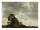 Landscape at Hampstead  Tree and Storm Clouds  C1821 (Oil on Paper Laid Down on Panel)