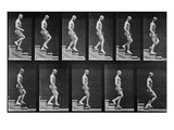 Man Descending Stairs  from 'Animal Locomotion'  1887 (B/W Photo)