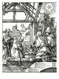 Nativity  from the Small Passion  1510 (Woodcut)