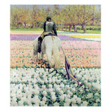 Vanquished  1895 (Oil on Canvas)