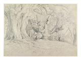 Ancient Trees  Lullingstone Park  1828 (Graphite on Paper)