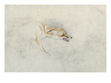 Study of a Crouching Fox  Facing Right Verso: Faint Sketch of Fox's Head and Tail