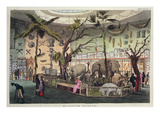 Bullock's Museum (Colour Engraving)