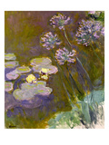 Waterlilies and Agapanthus  1914-17 (See Detail 414400) (Oil on Canvas)