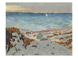 Marine  1906 (Oil on Canvas)