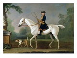 Sir Roger Burgoyne Riding 'Badger'  1740 (Oil on Canvas)
