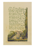 The Human Abstract'  Plate 45 from 'songs of Experience  1794 (Colour Printed Relief Etching)