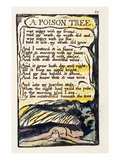 A Poison Tree'  Plate 50 (Bentley 49) from 'Songs of Innocence and of Experience' (Bentley Copy L)