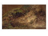 Undergrowth  C1821 (Oil on Paper on Board)