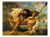 A Lion Attacking a Horse  C1762 (Oil on Canvas)