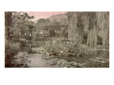 Waterlily Pond and Japanese Bridge in Monet's Garden at Giverny  Early 1920S (Photo)